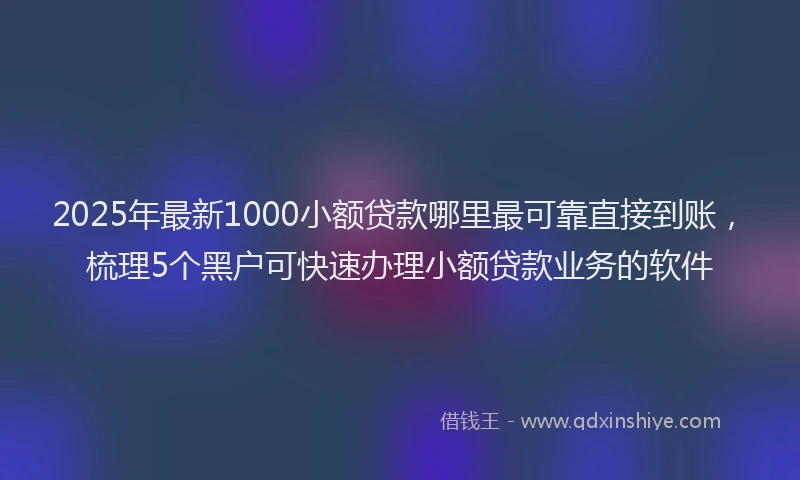 2025年最新1000小额贷款哪里最可靠直接到账，梳理5个黑户可快速办理小额贷款业务的软件