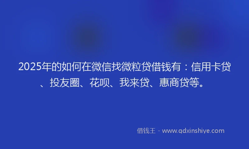 2025年的如何在微信找微粒贷借钱有：信用卡贷、投友圈、花呗、我来贷、惠商贷等。