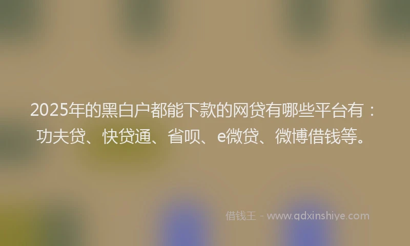 2025年的黑白户都能下款的网贷有哪些平台有：功夫贷、快贷通、省呗、e微贷、微博借钱等。
