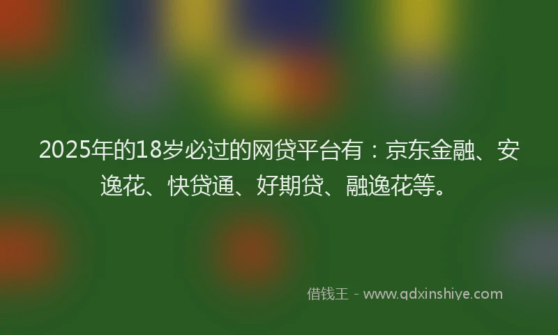 2025年的18岁必过的网贷平台有：京东金融、安逸花、快贷通、好期贷、融逸花等。