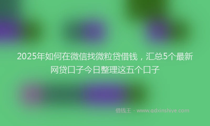 2025年如何在微信找微粒贷借钱，汇总5个最新网贷口子今日整理这五个口子