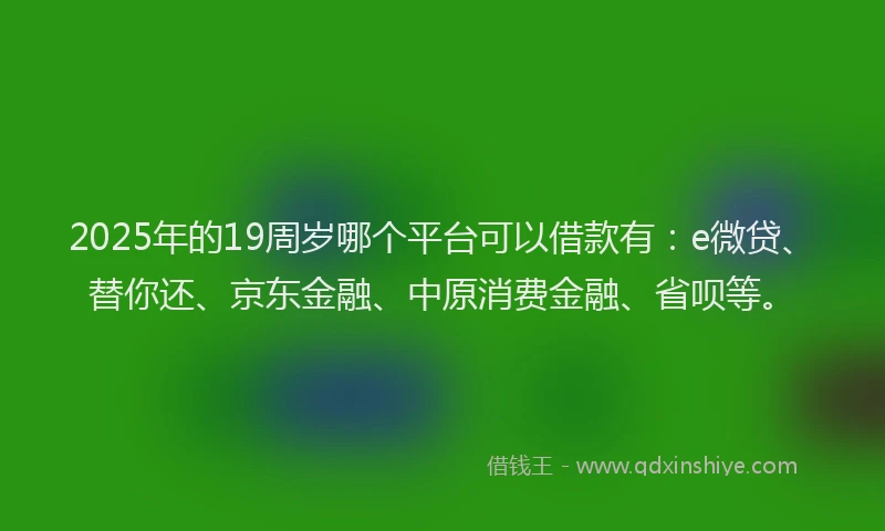 2025年的19周岁哪个平台可以借款有：e微贷、替你还、京东金融、中原消费金融、省呗等。