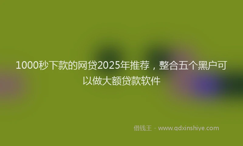 1000秒下款的网贷2025年推荐，整合五个黑户可以做大额贷款软件