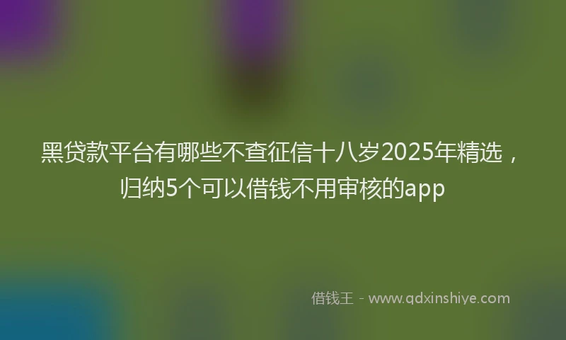 黑贷款平台有哪些不查征信十八岁2025年精选，归纳5个可以借钱不用审核的app