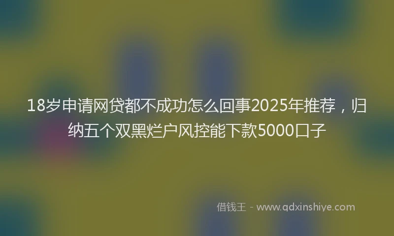 18岁申请网贷都不成功怎么回事2025年推荐，归纳五个双黑烂户风控能下款5000口子