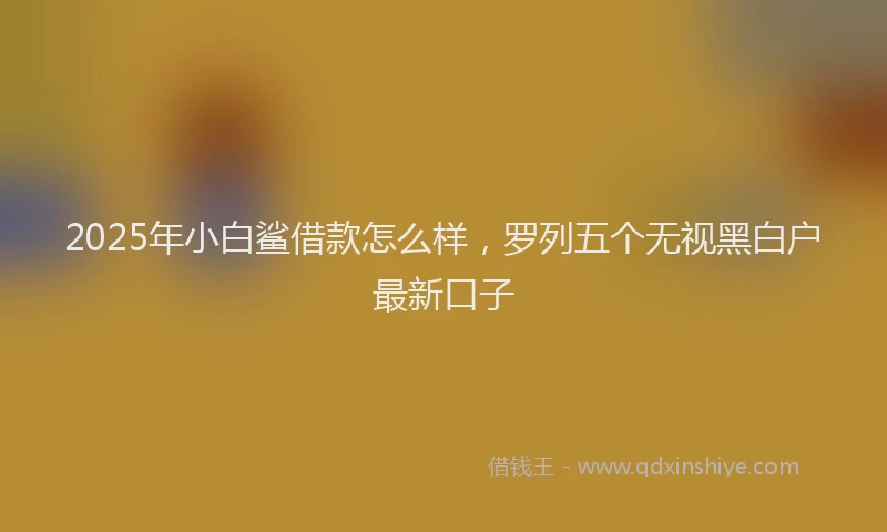 2025年小白鲨借款怎么样，罗列五个无视黑白户最新口子