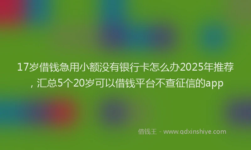17岁借钱急用小额没有银行卡怎么办2025年推荐，汇总5个20岁可以借钱平台不查征信的app