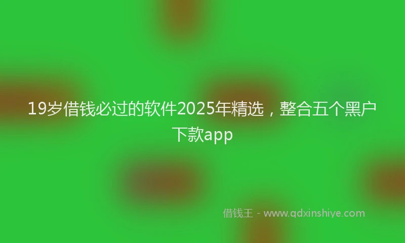 19岁借钱必过的软件2025年精选，整合五个黑户下款app