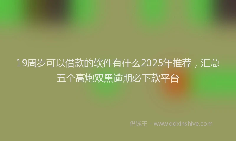 19周岁可以借款的软件有什么2025年推荐，汇总五个高炮双黑逾期必下款平台
