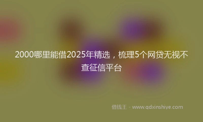 2000哪里能借2025年精选，梳理5个网贷无视不查征信平台