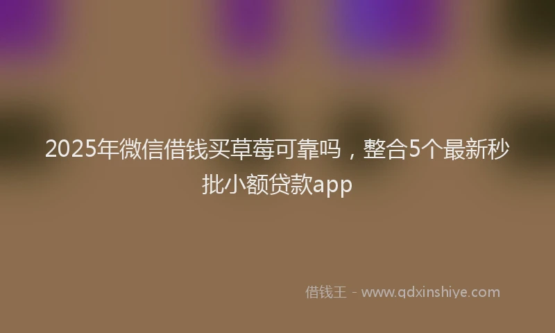 2025年微信借钱买草莓可靠吗，整合5个最新秒批小额贷款app