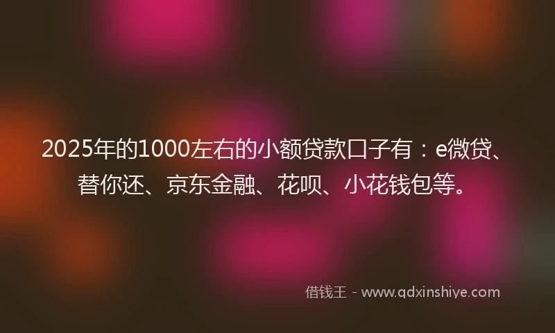 2025年的1000左右的小额贷款口子有：e微贷、替你还、京东金融、花呗、小花钱包等。