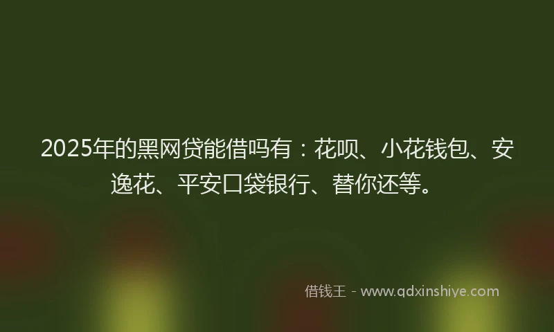 2025年的黑网贷能借吗有：花呗、小花钱包、安逸花、平安口袋银行、替你还等。