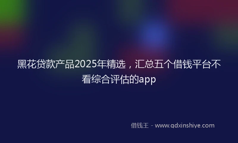 黑花贷款产品2025年精选，汇总五个借钱平台不看综合评估的app