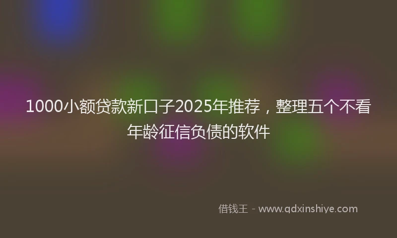 1000小额贷款新口子2025年推荐，整理五个不看年龄征信负债的软件