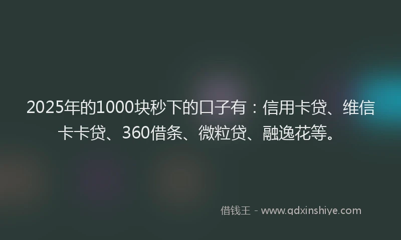 2025年的1000块秒下的口子有：信用卡贷、维信卡卡贷、360借条、微粒贷、融逸花等。