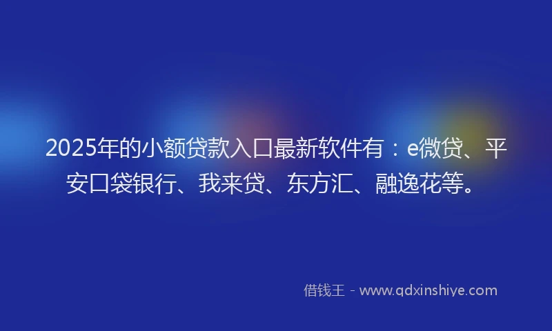 2025年的小额贷款入口最新软件有：e微贷、平安口袋银行、我来贷、东方汇、融逸花等。