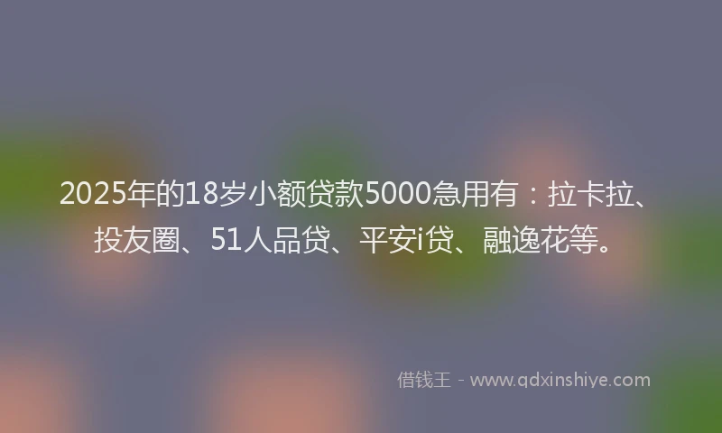 2025年的18岁小额贷款5000急用有：拉卡拉、投友圈、51人品贷、平安i贷、融逸花等。