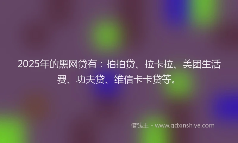 2025年的黑网贷有：拍拍贷、拉卡拉、美团生活费、功夫贷、维信卡卡贷等。