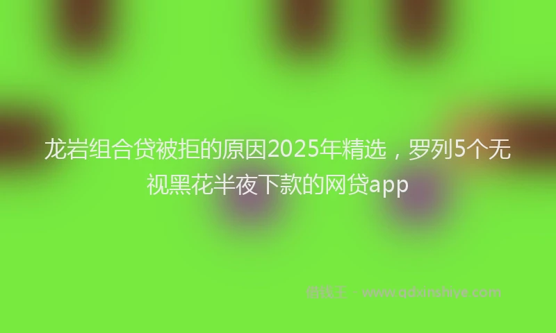 龙岩组合贷被拒的原因2025年精选，罗列5个无视黑花半夜下款的网贷app