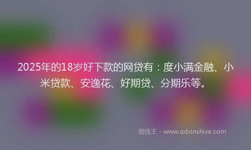 2025年的18岁好下款的网贷有：度小满金融、小米贷款、安逸花、好期贷、分期乐等。