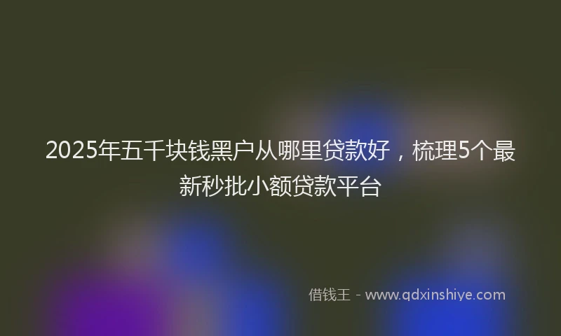 2025年五千块钱黑户从哪里贷款好，梳理5个最新秒批小额贷款平台