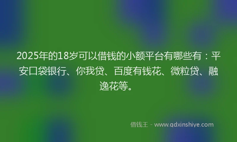2025年的18岁可以借钱的小额平台有哪些有：平安口袋银行、你我贷、百度有钱花、微粒贷、融逸花等。