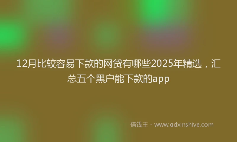 12月比较容易下款的网贷有哪些2025年精选，汇总五个黑户能下款的app