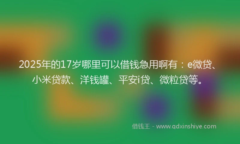 2025年的17岁哪里可以借钱急用啊有：e微贷、小米贷款、洋钱罐、平安i贷、微粒贷等。