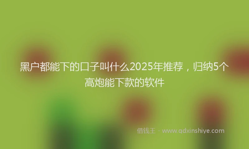 黑户都能下的口子叫什么2025年推荐，归纳5个高炮能下款的软件