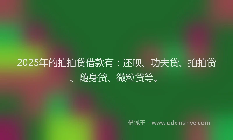 2025年的拍拍贷借款有：还呗、功夫贷、拍拍贷、随身贷、微粒贷等。