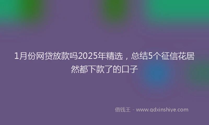 1月份网贷放款吗2025年精选，总结5个征信花居然都下款了的口子