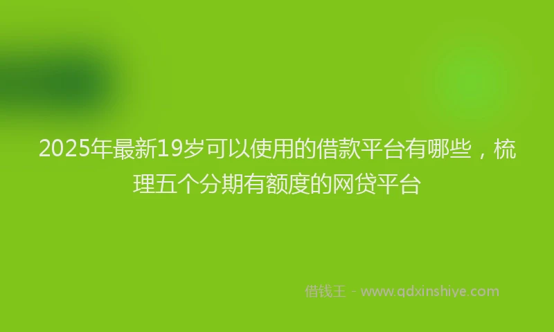 2025年最新19岁可以使用的借款平台有哪些，梳理五个分期有额度的网贷平台