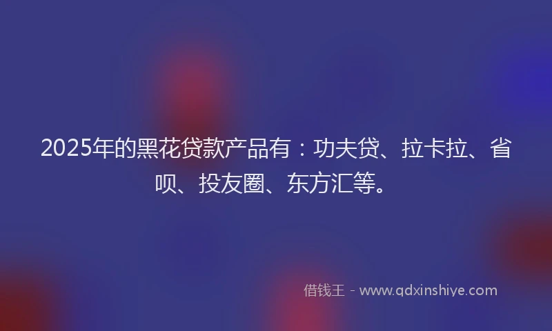 2025年的黑花贷款产品有：功夫贷、拉卡拉、省呗、投友圈、东方汇等。