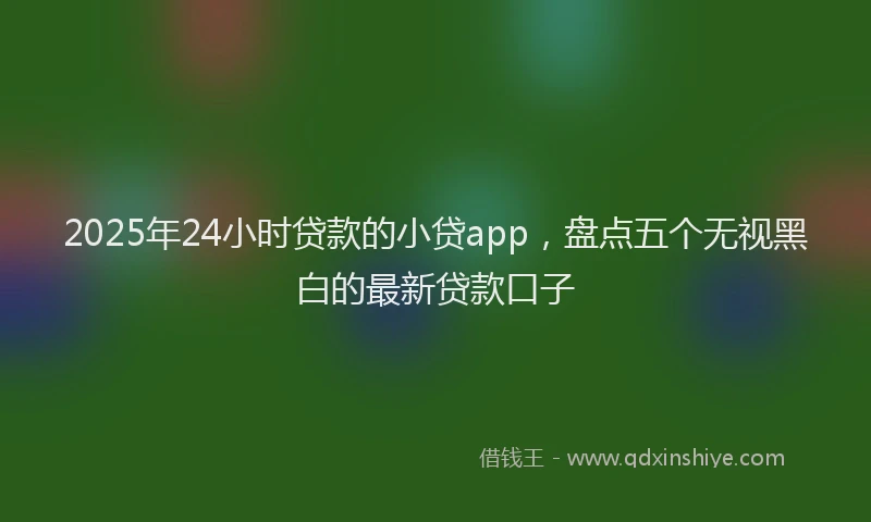 2025年24小时贷款的小贷app，盘点五个无视黑白的最新贷款口子