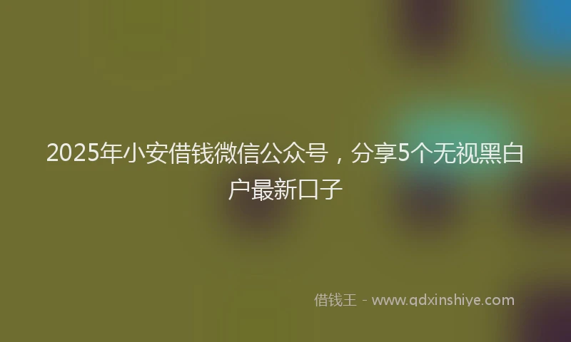 2025年小安借钱微信公众号，分享5个无视黑白户最新口子