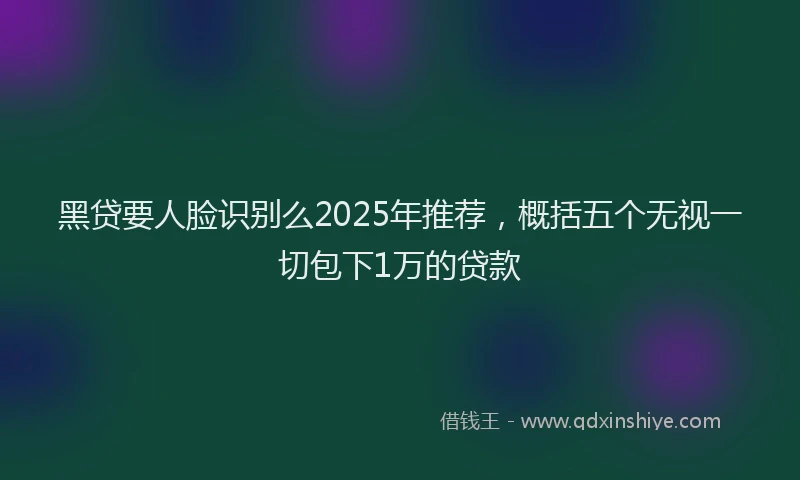 黑贷要人脸识别么2025年推荐，概括五个无视一切包下1万的贷款
