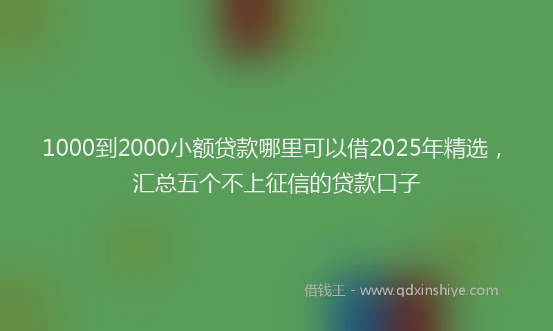 1000到2000小额贷款哪里可以借2025年精选，汇总五个不上征信的贷款口子