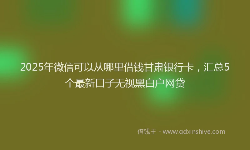 2025年微信可以从哪里借钱甘肃银行卡，汇总5个最新口子无视黑白户网贷