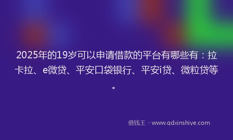 2025年的19岁可以申请借款的平台有哪些有：拉卡拉、e微贷、平安口袋银行、平安i贷、微粒贷等。
