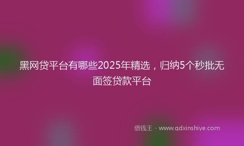 黑网贷平台有哪些2025年精选，归纳5个秒批无面签贷款平台