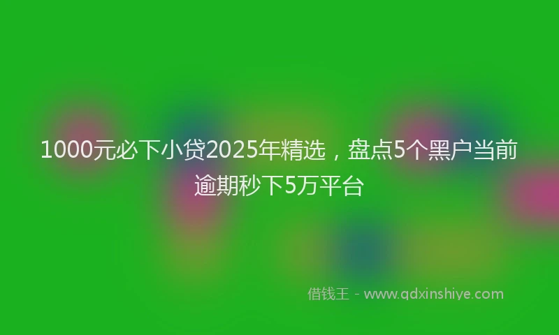 1000元必下小贷2025年精选，盘点5个黑户当前逾期秒下5万平台