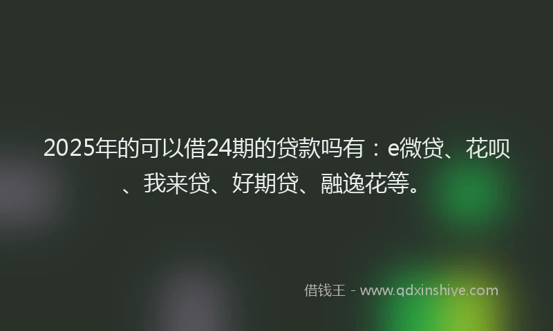 2025年的可以借24期的贷款吗有：e微贷、花呗、我来贷、好期贷、融逸花等。