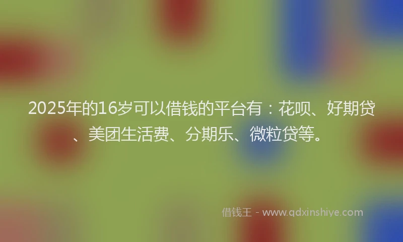 2025年的16岁可以借钱的平台有：花呗、好期贷、美团生活费、分期乐、微粒贷等。