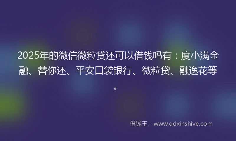2025年的微信微粒贷还可以借钱吗有：度小满金融、替你还、平安口袋银行、微粒贷、融逸花等。