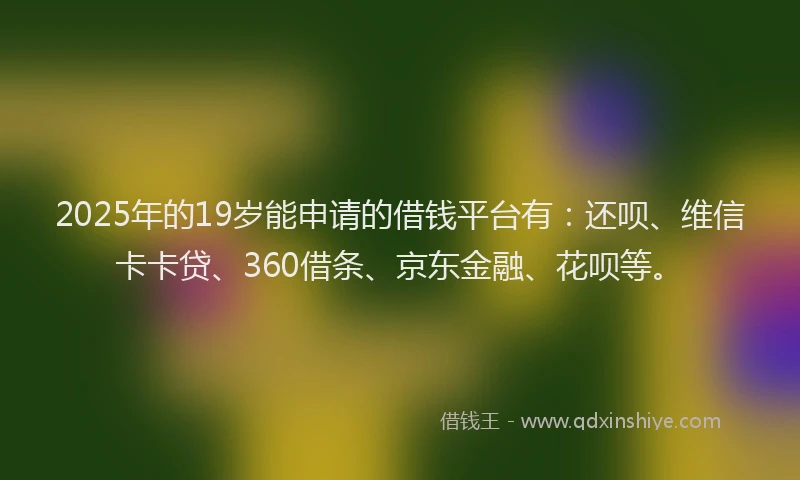 2025年的19岁能申请的借钱平台有：还呗、维信卡卡贷、360借条、京东金融、花呗等。