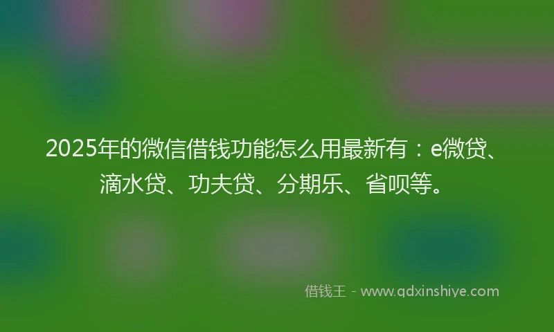 2025年的微信借钱功能怎么用最新有：e微贷、滴水贷、功夫贷、分期乐、省呗等。