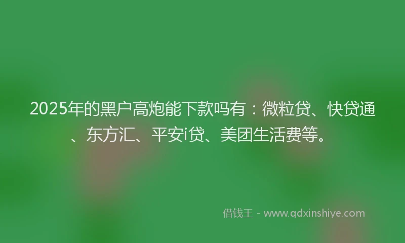 2025年的黑户高炮能下款吗有：微粒贷、快贷通、东方汇、平安i贷、美团生活费等。