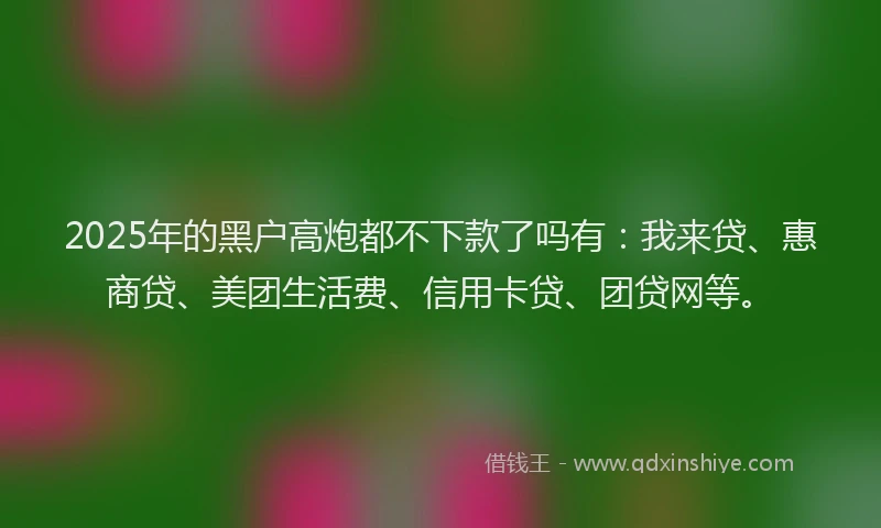 2025年的黑户高炮都不下款了吗有：我来贷、惠商贷、美团生活费、信用卡贷、团贷网等。