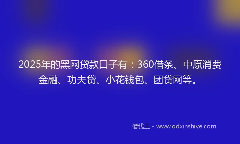 2025年的黑网贷款口子有：360借条、中原消费金融、功夫贷、小花钱包、团贷网等。